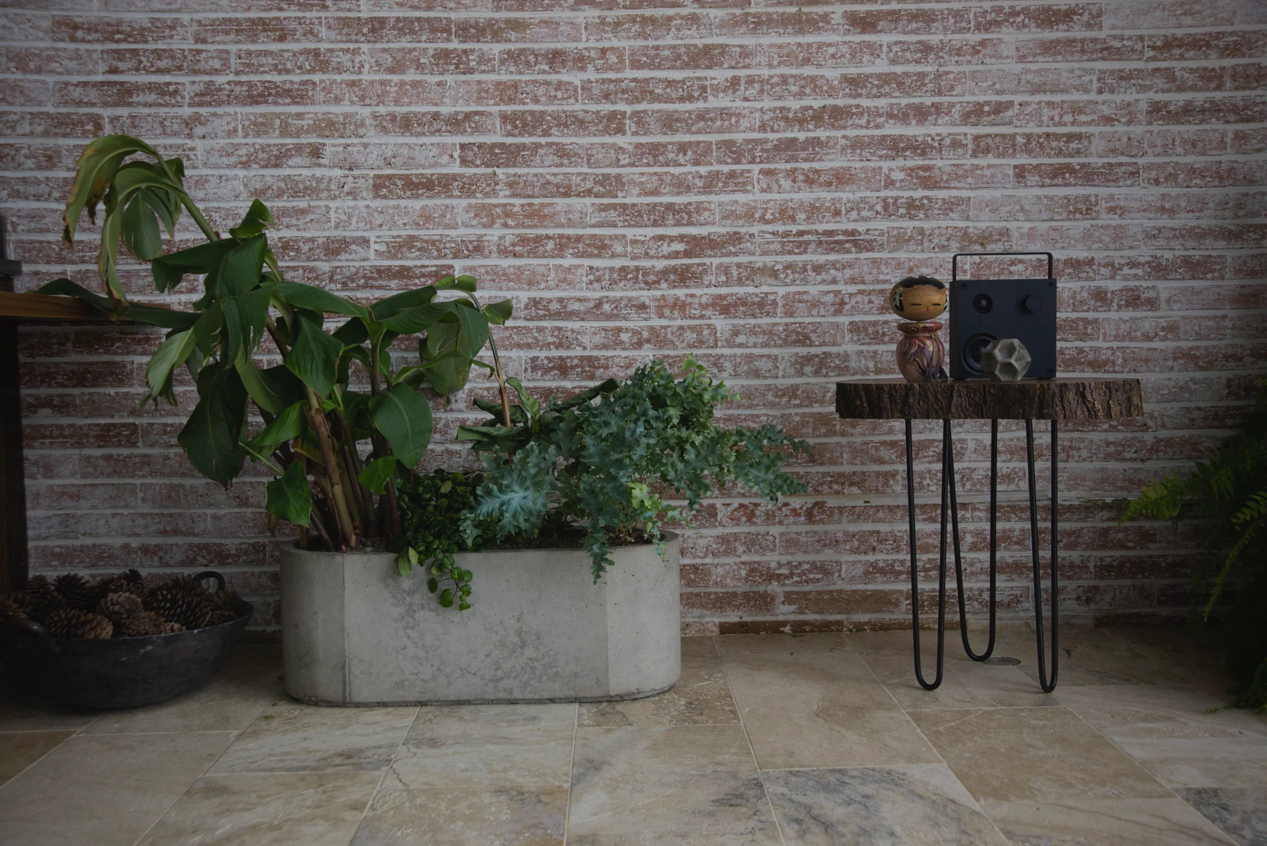 macetas-grandes-varias-plantas-decoracion Maceta grande de concreto decorando un espacio de estilo industrial y rústico