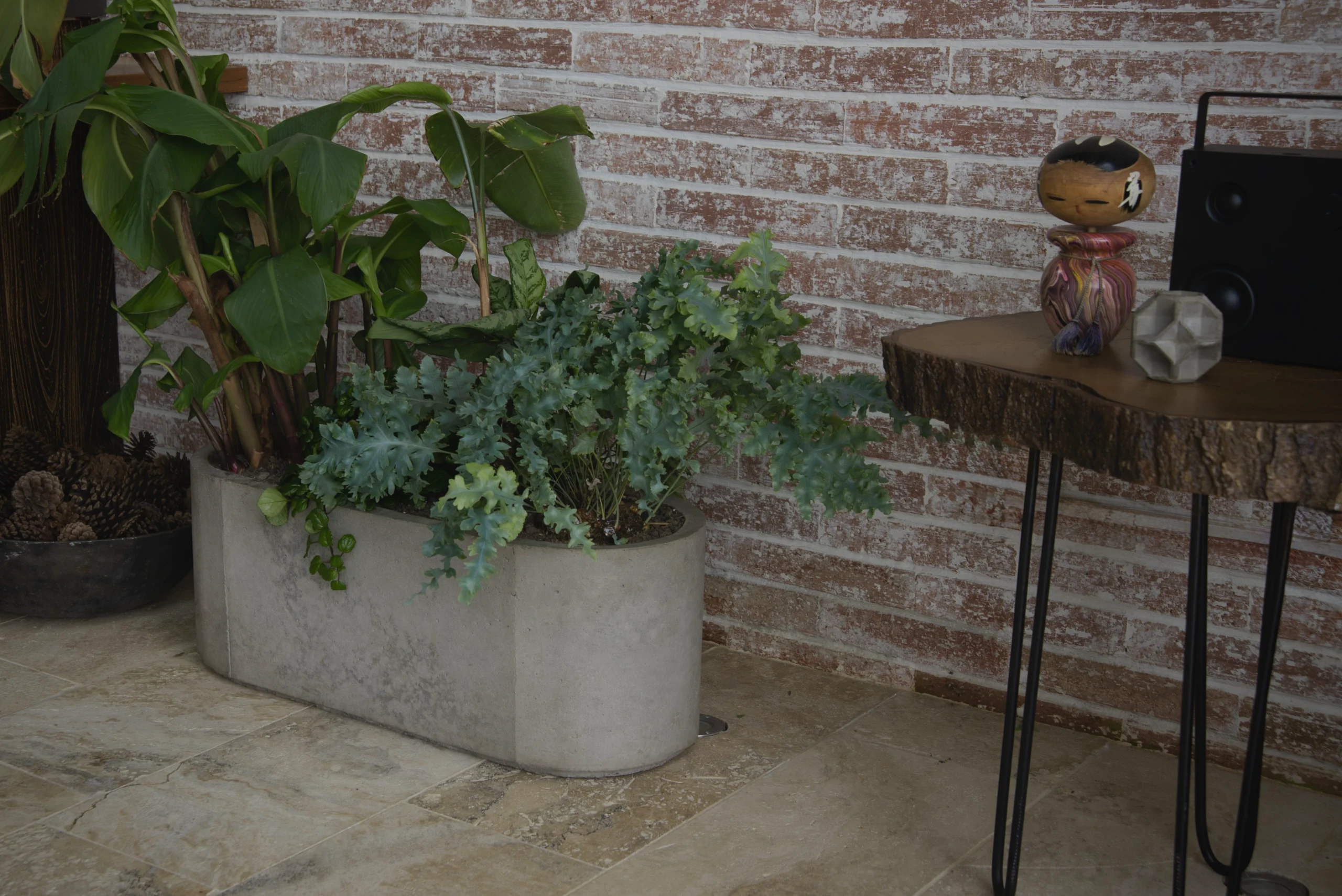 matera-ovalada-concreto-mini-jardines Matera ovalada de concreto Plantío funcionando como un mini jardín interior