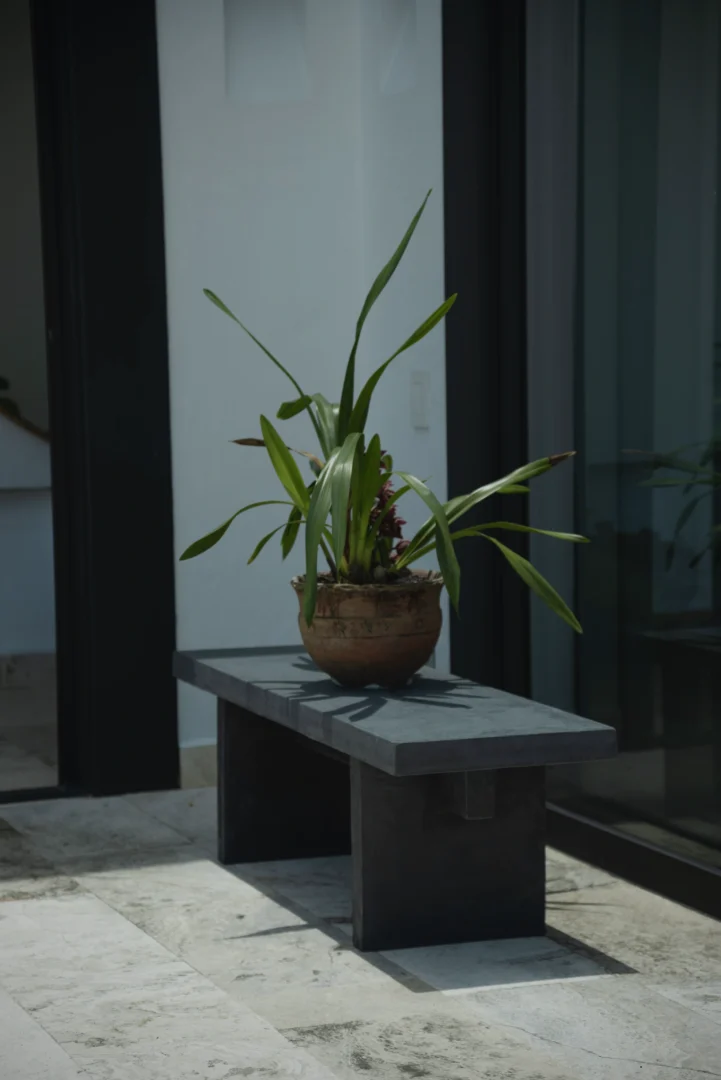Planta decorativa apoyada sobre la banca de concreto Plano